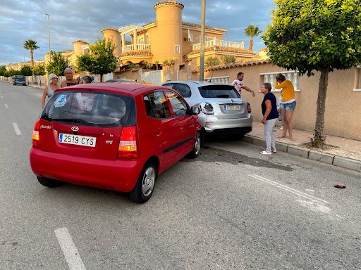 Avis