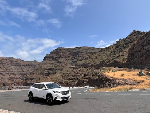 Cicar La Gomera