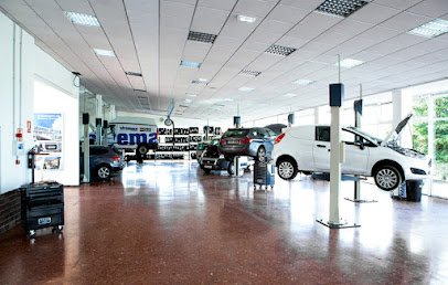 Rent A Car