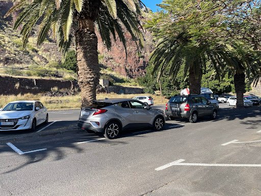 Rental Ecocar