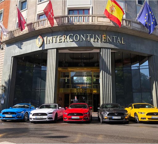 Top Cars Motion